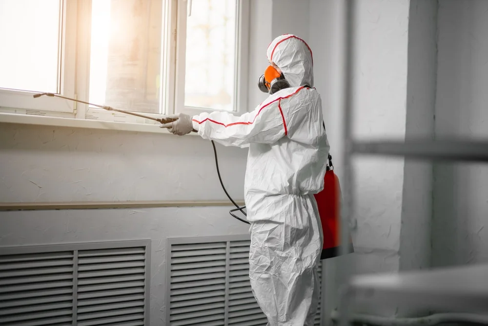Professional mold remediation services in New Castle, IN